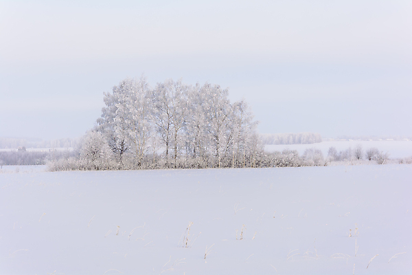 포토 JPG 해외이미지 나무 식물 구름 디자인 계절 공원 여행 백그라운드 겨울 밭 자연 하늘 날씨 산 풍경 사람없음 야외 목재 빛 갈색 환경 냉동 얼음 검은색 추위 흰색 나뭇가지 숲 언덕 서리 장면 내추럴 제설기 수평선 해외202004 해외포토 자연요소 공공시설 컬러 농업 재료 생태계 제설 파일형식 이미지허브