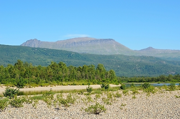 포토 JPG 해외이미지 나무 자연 하늘 휴가 산 파노라마 노르웨이 풍경 사람없음 야외 목재 초록색 물 여름 파란색 빛 강 햇빛 평화 맑음 자유 바위 흰색 원형 숲 땅 북극 만족 장면 북쪽 내추럴 무료 북극해 웅장함 몽환 해외202004 해외포토 자연요소 도형 식물 계절 감정 유럽 바다 컬러 컨셉 재료 날씨 촬영기법 태양 돌_바위 극지방 방향 생태계 파일형식 이미지허브