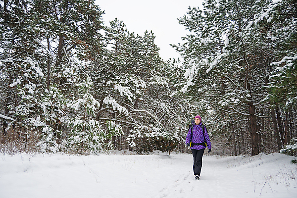 포토 JPG 해외이미지 나무 라이프스타일 계절 행복 스포츠 여행 겨울 배낭 자연 하늘 날씨 휴가 한명 사람 풍경 야외 얼음 산책 트래킹 하이킹 추위 흰색 숲 배낭여행 침엽수 전나무 백패커 하이커 눈내림 해외202004 해외포토 자연요소 식물 1 감정 컬러 가방 레저 휴식 눈_날씨 생활 생태계 파일형식 이미지허브