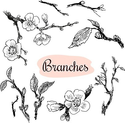 EPS 해외이미지 나무 꽃 잎 일러스트 자연 그래픽 여름 봄 수확 벚꽃 나뭇가지 낙서 숲 5월 스케치 그림 내추럴 해외202004 해외일러스트 식물 계절 농업 미술 날짜 생태계 파일형식 벡터 이미지허브