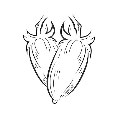 EPS 해외이미지 식물 손 디자인 포스터 음식 농업 토마토 일러스트 재료 자연 잉크 건강 요리 그래픽 농장 라벨 주방 정원 검은색 수확 시장 클래식 상품 수집 오브젝트 사인 그림 에코 유기농 날것 판화 고립 숙성 디테일 해외202004 해외일러스트 웰빙 산업 컬러 컨셉 채소 프레임 미술 신체부위 환경 생태계 파일형식 벡터 이미지허브