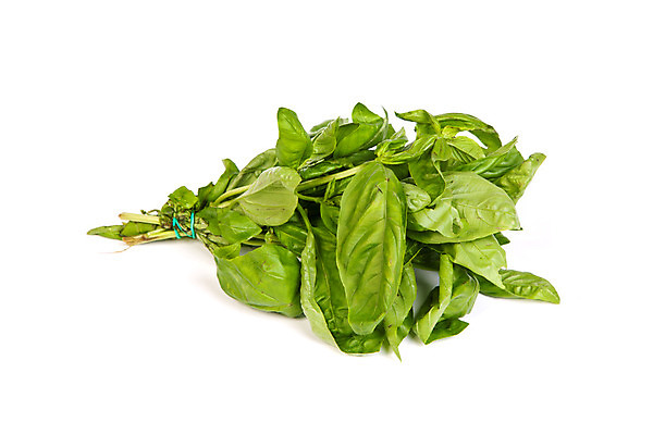 포토 JPG 해외이미지 식물 음료 음식 백그라운드 잎 채소 재료 자연 건강 사람없음 초록색 여름 약 쌓기 침묵 활발 흰색 나뭇가지 신선 고명 양념 다발 먹기 허브 향신료 싱글 상쾌 유기농 날것 향기 슛 바질 흙더미 고립 숙성 채식주의자 비건 해외202004 해외포토 나무 웰빙 계절 감정 컬러 컨셉 의학 모션 소리 흙 생태계 채식 냄새 향미료 파일형식 더미 이미지허브