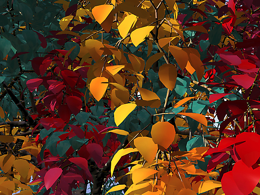 포토 JPG 해외이미지 나무 잎 일러스트 자연 추상 사람없음 빨간색 초록색 컬러풀 노란색 3D 해외202004 해외포토 식물 컬러 무늬 디지털합성 생태계 파일형식 이미지허브