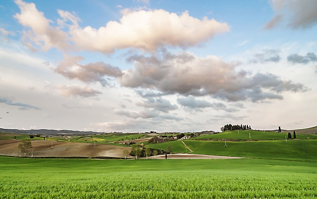포토 JPG 해외이미지 나무 구름 계절 밭 자연 주택 풍경 사람없음 초록색 농장 농경지 봄 이탈리아 안개 가을 시골 중세 신비 언덕 먼지 시에나 토스카나 목가 해외202004 해외포토 자연요소 식물 유럽 컬러 컨셉 농업 날씨 건물 역사 생태계 파일형식 이미지허브