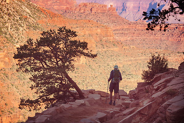 포토 JPG 해외이미지 공원 여행 신발 자국 자연 한명 사람 풍경 야외 골짜기 미국 트래킹 하이킹 가장자리 큼 부식 지역 격려 암초 애리조나 전국 특별함 하이커 해외202004 해외포토 1 공공시설 감정 컨셉 북아메리카 모션 레저 둘레 크기 생태계 파일형식 이미지허브