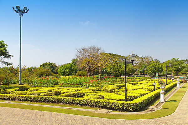포토 JPG 해외이미지 나무 식물 계절 공원 꽃 백그라운드 잎 꽃무늬 밭 농업 자연 하늘 풍경 잔디 사람없음 야외 목재 초록색 여름 파란색 컬러풀 햇빛 환경 정원 맑음 침묵 봄 시골 신선 숲 조경 장면 일반 내추럴 해외202004 해외포토 공공시설 산업 컬러 무늬 재료 날씨 태양 소리 생태계 파일형식 이미지허브
