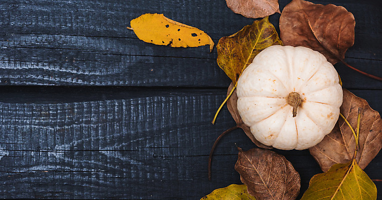 포토 JPG 해외이미지 전통 디자인 잎 호박 사람없음 축제 할로윈 가을 나무바닥 해외202004 해외포토 식물 계절 채소 바닥 파일형식 이미지허브