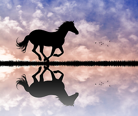 포토 JPG 해외이미지 동물 실루엣 밭 일러스트 포유류 자연 사람없음 햇빛 일몰 승마 갈기 해외202004 해외포토 스포츠 농업 촬영기법 태양 노을 생태계 파일형식 이미지허브