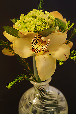 포토 JPG 해외이미지 식물 꽃 선 꽃다발 결혼 꽃무늬 자연 유리 건강 사람없음 빨간색 초록색 침묵 흰색 신선 난초 고급 우아함 해외202004 해외포토 컬러 컨셉 무늬 재질 이벤트 소리 생태계 파일형식 이미지허브