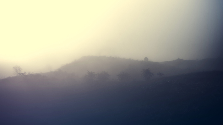 포토 JPG 해외이미지 나무 구름 공원 여행 백그라운드 잎 자연 하늘 아침 산 풍경 사람없음 야외 초록색 일출 환경 일몰 새벽 안개 숲 공상 내추럴 뿌연 전국 절정 해외202004 해외포토 주간 자연요소 식물 공공시설 컬러 날씨 노을 생태계 파일형식 이미지허브