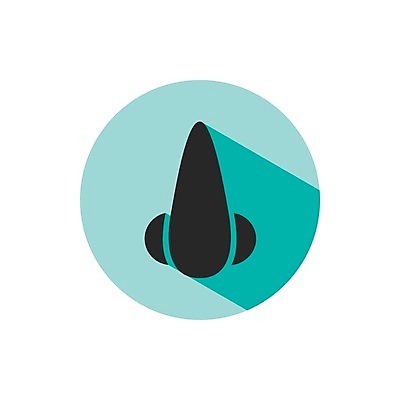 EPS 해외이미지 모양 디자인 얼굴 과학 일러스트 부분 해부 건강 사람 픽토그램 약 흰색 감각 오르간 호흡 만화 심볼 사인 코 생물학 냄새 윤곽 고립 엘리먼트 해외202004 해외일러스트 교육 컬러 의학 신체부위 건반악기 파일형식 벡터 악기 건반 음악 문화예술 이미지허브