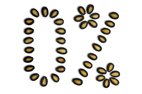 포토 JPG 해외이미지 모양 식물 라이프스타일 계절 음식 백그라운드 농업 다이어트 재료 자연 수박 건조 건강 요리 씨앗 사람없음 정원 검은색 코트 수확 성장 껍질 신선 작음 굽기 먹기 묘사 질감 알맹이 날것 고립 짠맛 해외202004 해외포토 산업 컬러 과일 모션 생활 외투 맛 크기 구이 생태계 파일형식 이미지허브