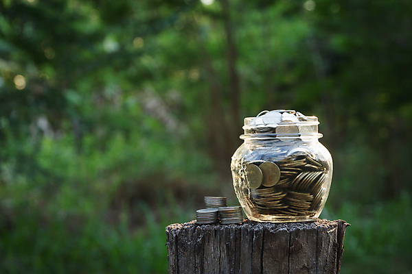 포토 JPG 해외이미지 식물 백그라운드 컨셉 돈 비즈니스 자연 성공 사람없음 초록색 금융 경제 쌓기 동전 저축 성장 항아리 절약 황금 캔 주식 작음 가득함 심볼 투자 만들기 기부 관심 수입 우크라이나 페니 해외202004 해외포토 유럽 컬러 모션 도자기 재산 크기 생태계 파일형식 이미지허브