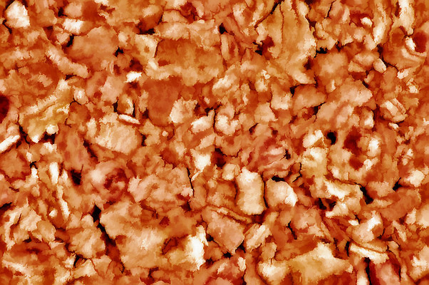 포토 JPG 해외이미지 식물 계절 백그라운드 단풍 잎 오렌지 자연 추상 사람없음 가로 빨간색 노란색 가을 그룹 질감 정맥 내추럴 해외202004 해외포토 컬러 무늬 과일 생태계 혈관 파일형식 이미지허브