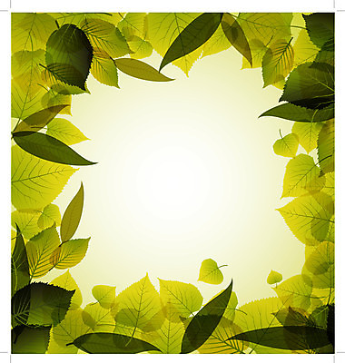 EPS 해외이미지 클립아트 식물 디자인 계절 백그라운드 잎 일러스트 자연 벽지 하늘 야외 장식 초록색 빛 컬러풀 노란색 환경 봄 활발 젖음 가을 흰색 신선 변화 숲 수집 모음 내추럴 강렬 엘리먼트 옛날 해외202004 해외일러스트 컬러 컨셉 생태계 파일형식 벡터 이미지허브