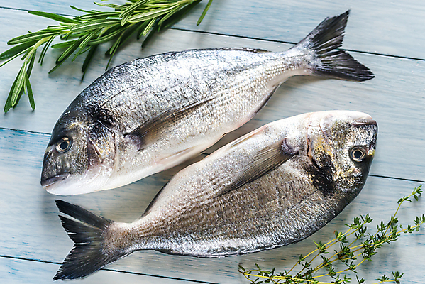 포토 JPG 해외이미지 사람없음 날것 도미 로즈메리 백리향 해외202004 해외포토 어류 허브 파일형식 이미지허브