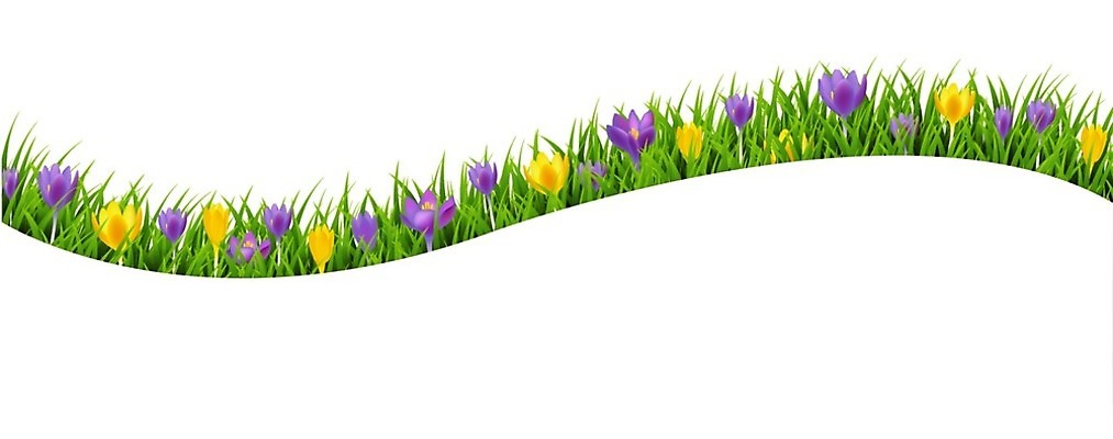 EPS 해외이미지 식물 템플릿 배너 계절 꽃잎 꽃 분홍색 꽃다발 백그라운드 꽃무늬 일러스트 추상 발렌타인데이 장식 여름 노란색 보라색 봄 벚꽃 축하 신용카드 발표 개화 다발 제비꽃 질감 엽서 내추럴 스노드롭 해외202004 해외일러스트 컬러 컨셉 무늬 데이이벤트 금융 편지 파일형식 벡터 이미지허브