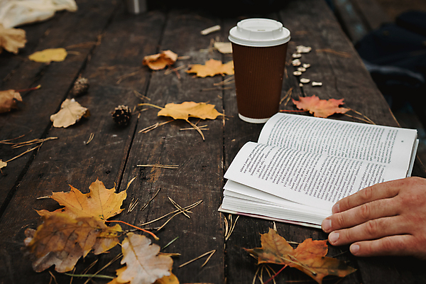 포토 JPG 해외이미지 손 단풍 신체부위 책 독서 가을 잡기 복고 테이크아웃컵 해외202004 해외포토 계절 잎 모션 사람 컵 파일형식 이미지허브