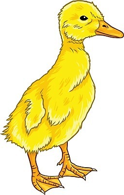 EPS 해외이미지 동물 호수 어린이 농업 일러스트 가족 자연 놀이 조류 오리 물 반려동물 장난감 농장 노란색 수영 가축 목욕 봄 흰색 시골 아기 신생아 연못 깃털 부리 장면 솜털 고무 청둥오리 고립 밭일 해외202004 해외일러스트 자연요소 계절 산업 컬러 관계 사람 청결 수상스포츠 생태계 파일형식 벡터 이미지허브