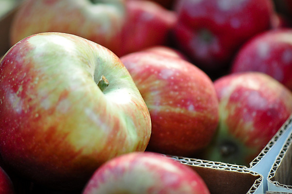 포토 JPG 해외이미지 음료 다이어트 과일 건강 사람없음 빨간색 초록색 상자 컬러풀 주스 시장 달콤 사과 나무상자 수납 내추럴 해외202004 해외포토 컬러 맛 파일형식 이미지허브