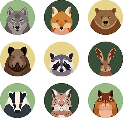 EPS 해외이미지 동물 여러마리 일러스트 곰 사람없음 세트 머리 토끼 다람쥐 여우 너구리 늑대 멧돼지 스컹크 스라소니 해외202004 해외일러스트 다수 포유류 신체부위 반려동물 설치류 파일형식 벡터 이미지허브