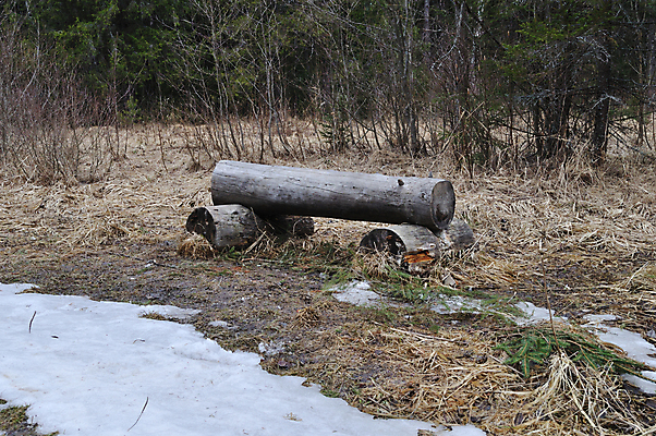 포토 JPG 해외이미지 나무 식물 계절 길 지구 여행 벤치 의자 자연 휴식 앉기 풍경 사람없음 야외 목재 초록색 갈색 환경 봄 회색 추위 시골 거친 숲 땅 러시아 매듭 통나무 먼지 북쪽 벌거벗은 울퉁불퉁 해외202004 해외포토 유럽 컬러 가구 컨셉 재료 모션 방향 생태계 파일형식 이미지허브