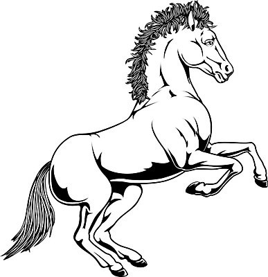 EPS 해외이미지 클립아트 동물 디자인 일러스트 흑백 미술 서기 그래픽 농장 점프 검은색 힘 흰색 레이스 승마 만화 문신 그림 꼬리 클립 갈기 조랑말 망아지 고립 현실 해외202004 해외일러스트 새끼 스포츠 컬러 농업 모션 문화예술 촬영기법 말 파일형식 벡터 이미지허브