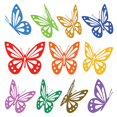 EPS 해외이미지 동물 디자인 나비 곤충 곡선 날개 일러스트 자연 벽지 그래픽 장식 여름 세트 컬러풀 봄 화려 수집 고립 해외202004 해외일러스트 계절 선 컬러 컨셉 생태계 파일형식 벡터 이미지허브