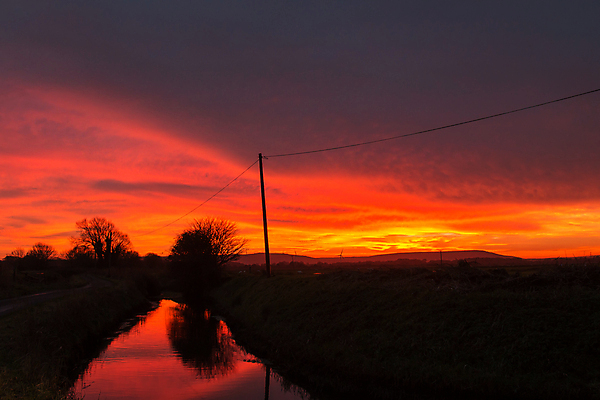 포토 JPG 해외이미지 나무 식물 구름 실루엣 겨울 하늘 바람 잉글랜드 풍경 사람없음 빨간색 물 반사 일몰 시골 분위기 배수구 서식스 해외202004 해외포토 자연요소 계절 컬러 컨셉 날씨 영국 촬영기법 노을 파일형식 이미지허브