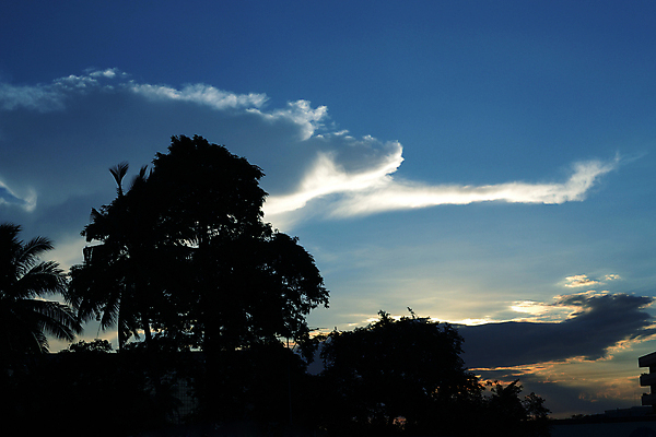 포토 JPG 해외이미지 나무 구름 실루엣 자연 하늘 풍경 사람없음 여름 햇빛 태양 황혼 일몰 스카이라인 수평선 해외202004 해외포토 자연요소 식물 계절 촬영기법 노을 생태계 파일형식 이미지허브