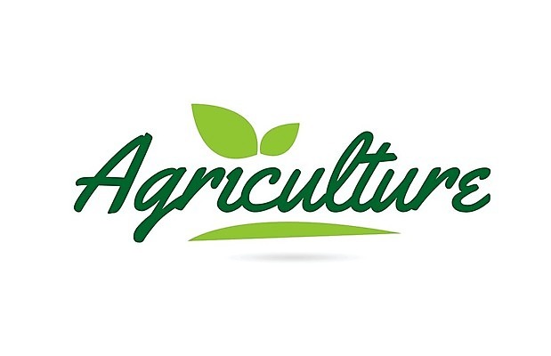 EPS 해외이미지 템플릿 디자인 백그라운드 잎 일러스트 캘리그라피 텍스트 타이포그라피 사람없음 초록색 단어 엘리먼트 활자 레터링 해외202004 해외일러스트 식물 문자 컬러 활자판 파일형식 벡터 이미지허브