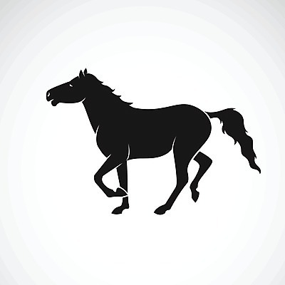 EPS 해외이미지 동물 1 디자인 실루엣 스포츠 포즈 백그라운드 일러스트 포유류 모션 자연 사람없음 그래픽 달리기 농장 검은색 경쟁 자유 흰색 승마 우아함 승차 만화 심볼 순수 사인 속도 싱글 그림 윤곽 조랑말 수의사 로데오 고립 마스코트 혼자 해외202004 해외일러스트 컬러 컨셉 농업 촬영기법 의사 말 생태계 파일형식 벡터 산업 의료진 직업 의학 이미지허브