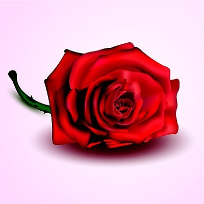 EPS 해외이미지 식물 디자인 기념일 꽃잎 꽃 줄기 꽃다발 결혼 백그라운드 잎 꽃무늬 데이트 일러스트 자연 휴가 발렌타인데이 선물 사랑 빨간색 초록색 장미 봄 활발 벚꽃 흰색 축하 인사 생일 가시 꽃집 오브젝트 싱글 초대 고립 해외202004 해외일러스트 계절 감정 컬러 컨셉 무늬 데이이벤트 이벤트 상점 예절 생태계 파일형식 벡터 이미지허브