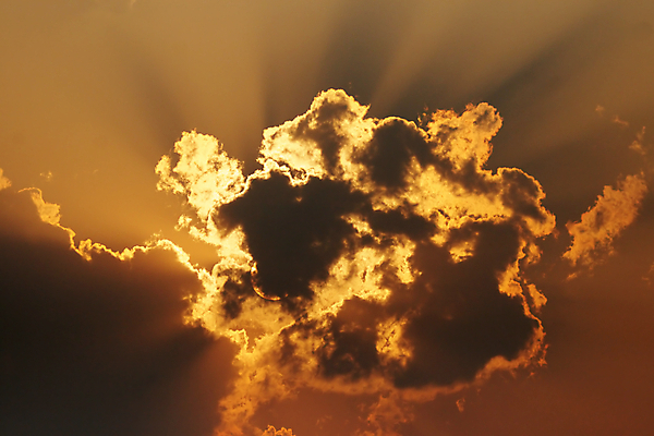 포토 JPG 해외이미지 구름 오렌지 아프리카 자연 하늘 사람없음 빛 태양 노란색 일몰 보츠와나 해외202004 해외포토 자연요소 나라 컬러 과일 노을 생태계 파일형식 이미지허브