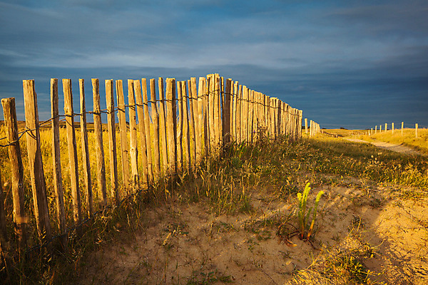 포토 JPG 해외이미지 유럽 길 모래 바다 여행 자연 하늘 풍경 사람없음 목재 초록색 물 여름 파란색 울타리 일몰 프랑스 오솔길 모래언덕 대서양 해외202004 해외포토 자연요소 나무 계절 나라 컬러 재료 담장 노을 언덕 생태계 파일형식 이미지허브