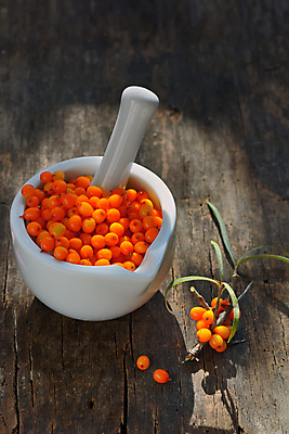 포토 JPG 해외이미지 나무 식물 계절 열매 음식 잎 농업 오렌지 과일 재료 자연 건강 사람없음 초록색 약 노란색 수확 가을 흰색 나뭇가지 신선 가시 그룹 맛 약초 작음 다발 허브 오브젝트 유기농 날것 흙더미 내추럴 숙성 식용 많음 해외202004 해외포토 웰빙 산업 컬러 컨셉 의학 흙 풀_식물 크기 생태계 파일형식 더미 이미지허브