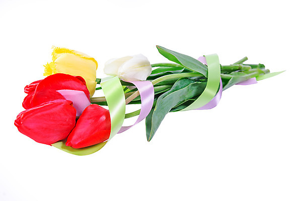 포토 JPG 해외이미지 식물 꽃 줄기 분홍색 꽃다발 잎 자연 사람없음 장식 정원 튤립 흰색 다발 오브젝트 테이프 해외202004 해외포토 컬러 문구용품 생태계 파일형식 이미지허브