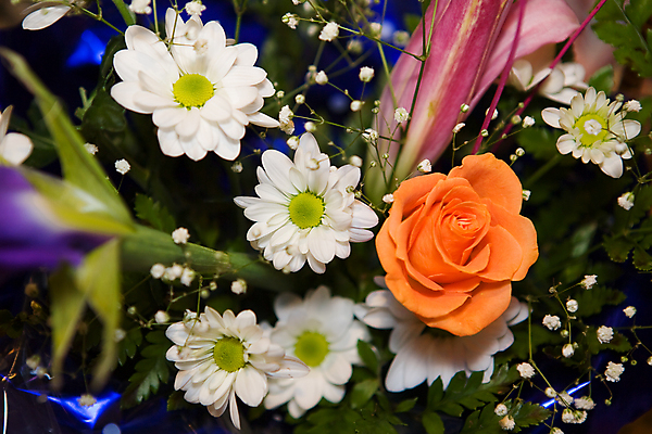 포토 JPG 해외이미지 모양 식물 접시 꽃잎 꽃 분홍색 꽃다발 백그라운드 잎 꽃무늬 자연 선물 사람없음 장식 빨간색 초록색 장미 노란색 검은색 벚꽃 흰색 축하 개화 그룹 카네이션 캐모마일 많음 해외202004 해외포토 식기 컬러 컨셉 무늬 허브 생태계 파일형식 이미지허브