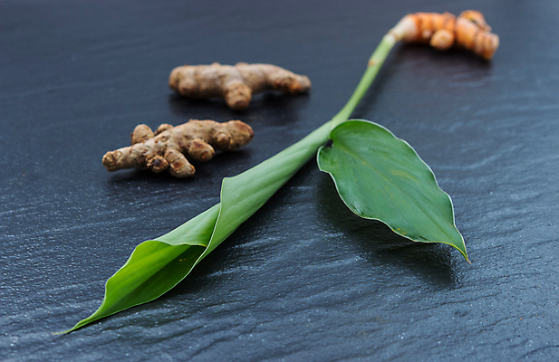 포토 JPG 해외이미지 얼굴 음식 줄기 백그라운드 재료 건조 건강 가면 사람없음 약 스파 목욕 화장품 신선 마사지 황금 씻기 가루 인도인 철 허브 향신료 유기농 날것 아로마 뿌리 테라피 내추럴 총쏘기 강황 해외202004 해외포토 외국인 식물 웰빙 식재료 의학 모션 동양인 신체부위 뷰티 청결 향미료 파일형식 이미지허브