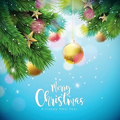EPS 해외이미지 나무 디자인 배너 계절 행복 별 백그라운드 크리스마스 겨울 일러스트 공 자연 벽지 추상 휴가 새로움 프레임 사랑 미술 타이포그라피 그래픽 장식 빨간색 파란색 빛 컬러풀 파티 축제 수확 나뭇가지 축하 인사 소나무 신용카드 황금 연도 질감 복고 초대 그런지 엘리먼트 해외202004 해외일러스트 자연요소 식물 문자 기념일 감정 컬러 컨셉 무늬 농업 문화예술 이벤트 금융 예절 생태계 파일형식 벡터 이미지허브