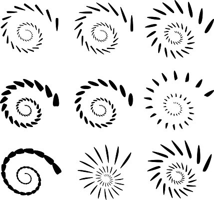 EPS 해외이미지 모양 편집 곡선 일러스트 추상 흑백 나선형 미술 그래픽 검은색 소용돌이 흰색 구부린 서식 첨탑 최면 미니멀 효과 해외202004 해외일러스트 선 컬러 무늬 모션 문화예술 촬영기법 탑 회오리 파일형식 벡터 이미지허브