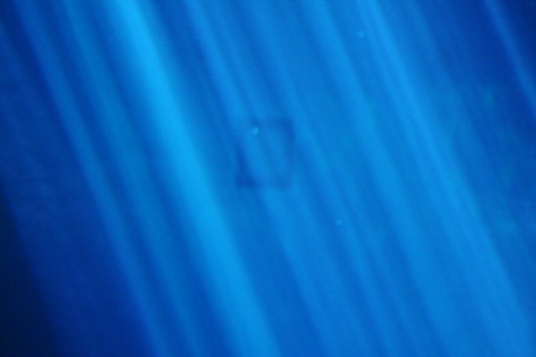 포토 JPG 해외이미지 바다 모션 자연 사람없음 물 파란색 빛 햇빛 태양 우주 환경 수중 어둠 젖음 아래 각도 내추럴 깊이 해외202004 해외포토 자연요소 컬러 방향 생태계 위치 파일형식 이미지허브