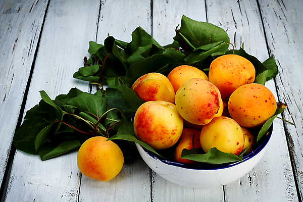 포토 JPG 해외이미지 음식 잎 다이어트 오렌지 자연 디저트 건강 사람없음 목재 초록색 노란색 신선 사발 달콤 유기농 복숭아 내추럴 바이오 살구 숙성 채식주의자 해외202004 해외포토 나무 식물 웰빙 컬러 과일 재료 사기그릇 맛 생태계 채식 파일형식 이미지허브