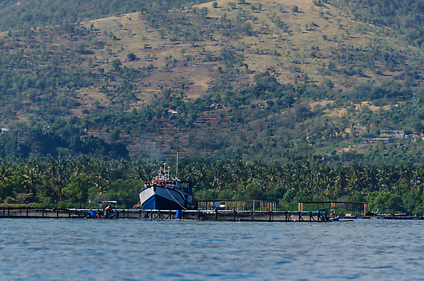 포토 JPG 해외이미지 구름 계절 모래 파도 바다 여행 자연 하늘 호텔 휴가 휴식 산 이집트 풍경 사람없음 물 여름 야자수 태양 여행객 산책 사파리 발리 인도네시아 암초 해외202004 해외포토 자연요소 나무 아시아 섬 컨셉 아프리카 숙소 사람 생태계 파일형식 이미지허브