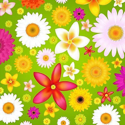 EPS 해외이미지 식물 계절 공원 꽃잎 꽃 줄기 분홍색 백그라운드 꽃무늬 밭 일러스트 아침 프레임 국화 발렌타인데이 야외 여름 파란색 컬러풀 햇빛 정원 봄 들꽃 벚꽃 흰색 개화 허브 에코 데이지 하와이 향기 발리 아열대 캐모마일 하와이인 알로하 해외202004 해외일러스트 주간 외국인 공공시설 컬러 섬 무늬 농업 데이이벤트 태양 환경 미국 인사 냄새 인도네시아 파일형식 벡터 이미지허브