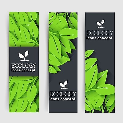 EPS 해외이미지 모양 나무 식물 계절 포스터 백그라운드 잎 꽃무늬 일러스트 자연 추상 프레임 사람없음 그래픽 초록색 빛 정원 봄 줄무늬 활발 성장 흰색 나뭇가지 신선 보호 숲 심볼 사인 활 생물학 내추럴 생태학 소셜 엘리먼트 월계수 해외202004 해외일러스트 교육 꽃 컬러 컨셉 무늬 생태계 파일형식 벡터 이미지허브