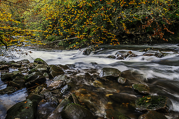 포토 JPG 해외이미지 응시 유럽 자연 하늘 그림자 사람없음 야외 목재 초록색 물 파란색 빛 컬러풀 태양 평화 흐름 스페인 숲 만족 암초 내추럴 해외202004 해외포토 자연요소 나무 시선 감정 나라 컬러 컨셉 재료 생태계 파일형식 이미지허브