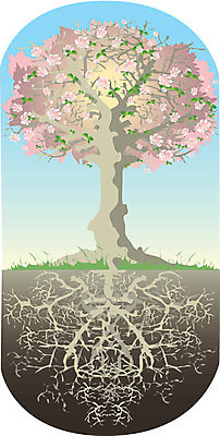 EPS 해외이미지 나무 할아버지 꽃 기독교 지구 잎 일러스트 가족 자연 하늘 결혼식 여름 농장 마을 정원 힘 봄 기쁨 나뭇가지 개화 사과 심볼 뿌리 미로 가치 목련 땅바닥 숨기 신앙심 옛날 해외202004 해외일러스트 식물 계절 노년 남자 감정 종교 결혼 농업 과일 관계 모션 바닥 생태계 파일형식 벡터 이미지허브