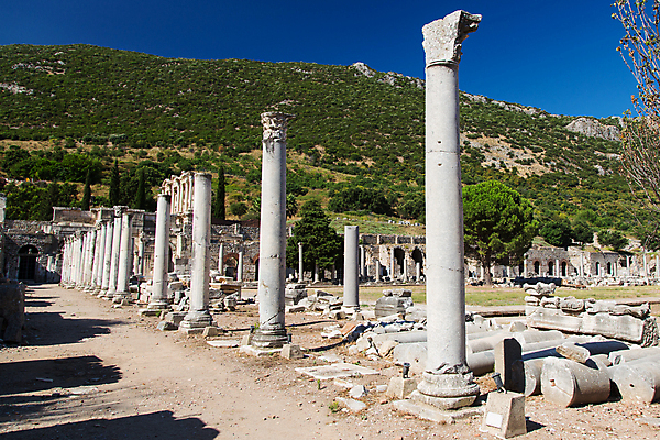 포토 JPG 해외이미지 여행 건축양식 거리 사람없음 조각상 기둥 역사 폐허 박물관 칠면조 그리스인 고고학 깨짐 로마인 옛날 파멸 해외202004 튀르키예 해외포토 서양인 교육 건축 아시아 컨셉 조류 인종 조형물 파일형식 소멸 이미지허브