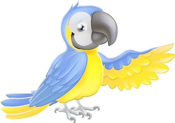 EPS 해외이미지 클립아트 동물 캐릭터 배너 행복 포스터 날개 일러스트 조류 서기 미소 파란색 반려동물 컬러풀 노란색 귀여움 가리킴 열대우림 만화 사파리 깃털 그림 부리 앵무새 긍정 진홍색 보여주기 고립 마스코트 이국적 해외202004 해외일러스트 일러캐릭터 감정 컬러 컨셉 모션 표정 손짓 빨간색 숲 파일형식 벡터 이미지허브